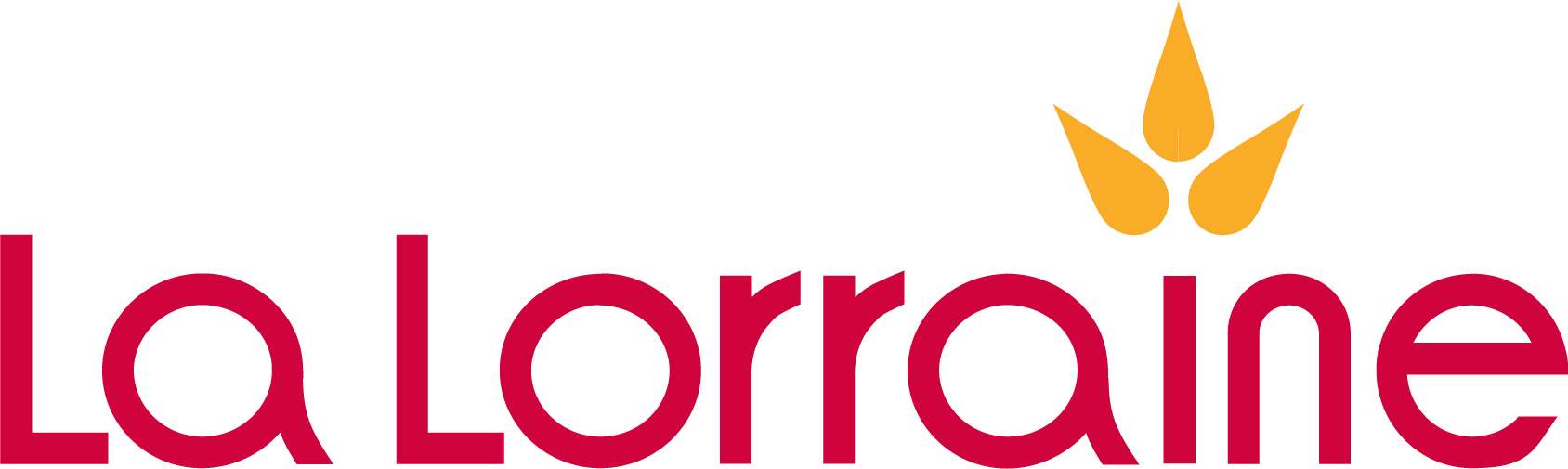 19738_-1